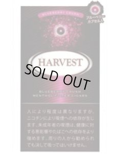 画像1: リトルシガー　ハーベスト・クラッシュブルーベリーメンソール HARVEST BLUEBERRY MENTHOL (1)